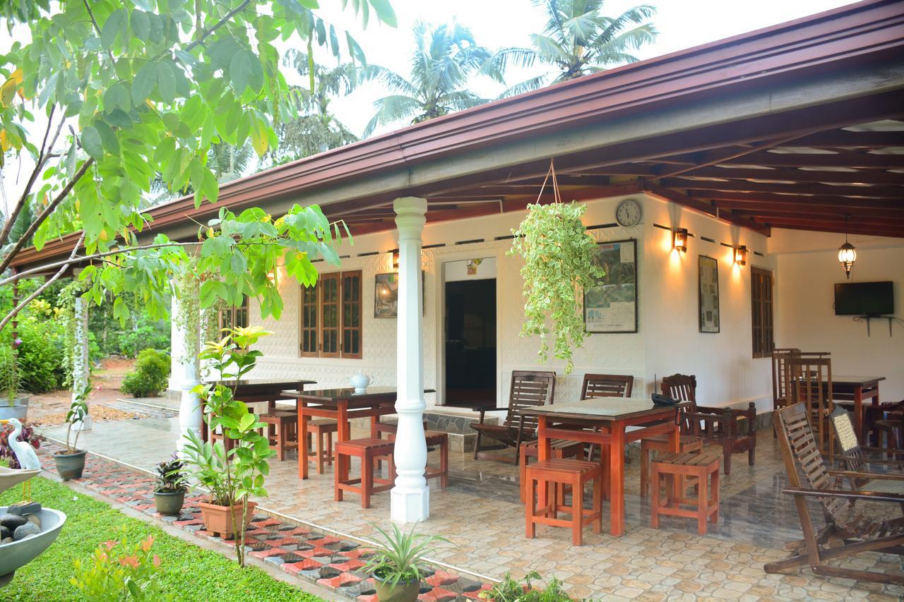 Rainforest Mount Lodge Deniyaya Extérieur photo
